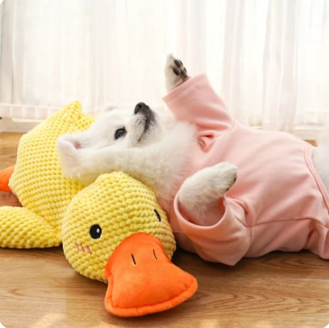 Calming Duck Toy